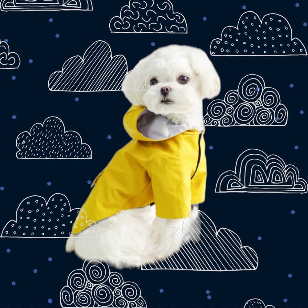 💜HOST PICK💜 NWT The Perfect Little Yellow Dog Raincoat